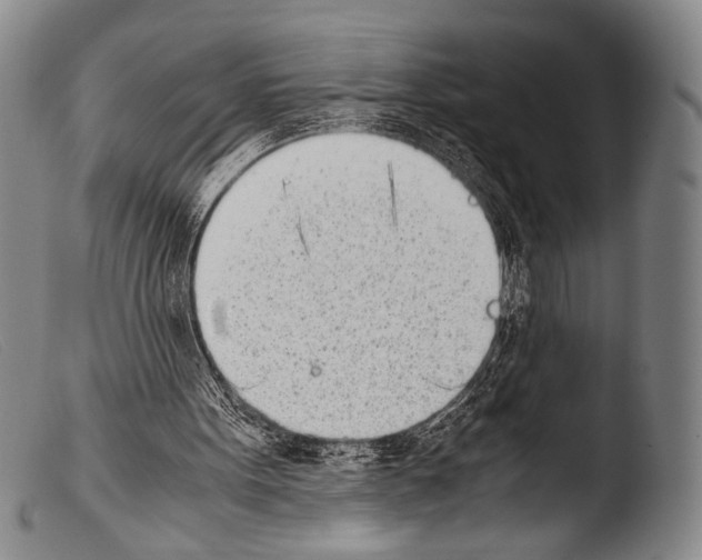 X0000103940099200810311535