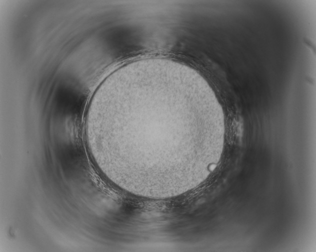 X0000103940100200810311535