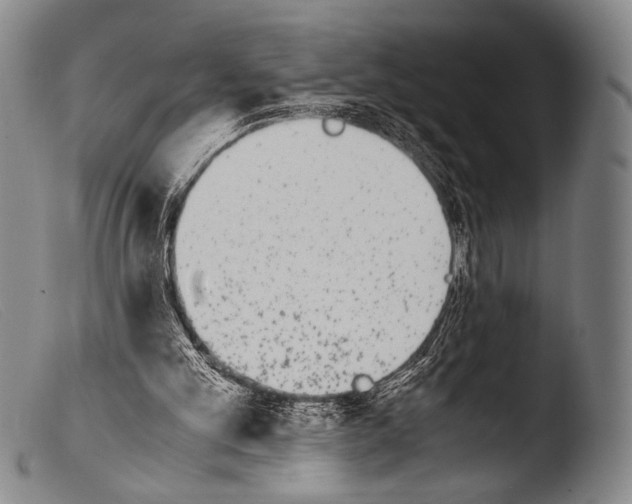 X0000103940101200810311535