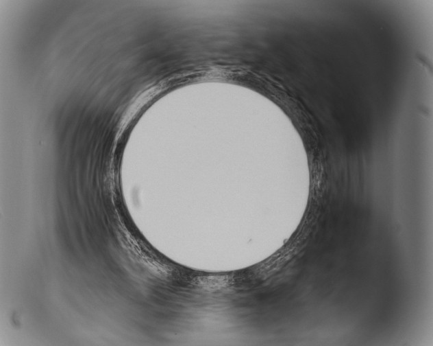 X0000103940102200810311535