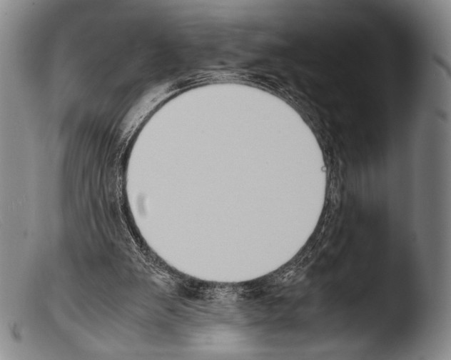 X0000103940103200810311535