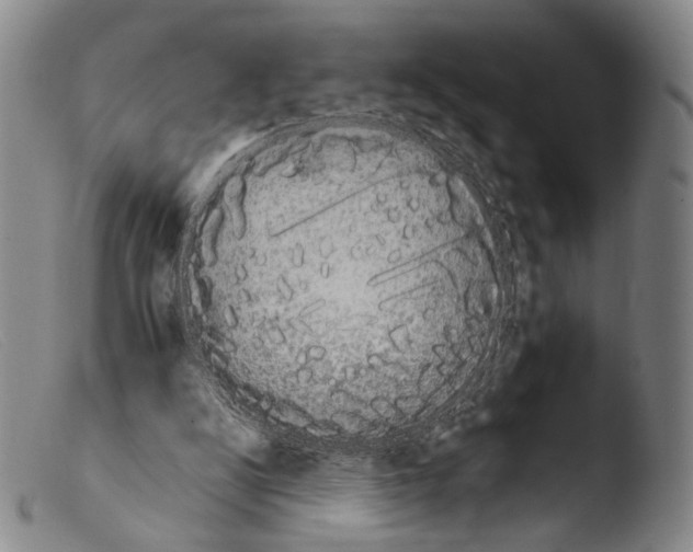 X0000103940104200810311535