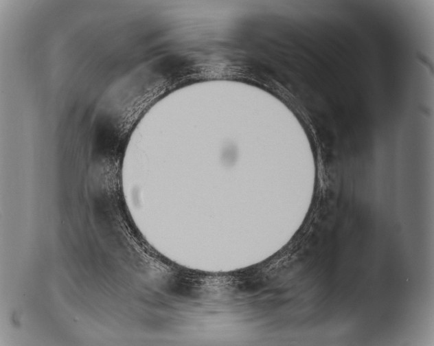 X0000103940105200810311535