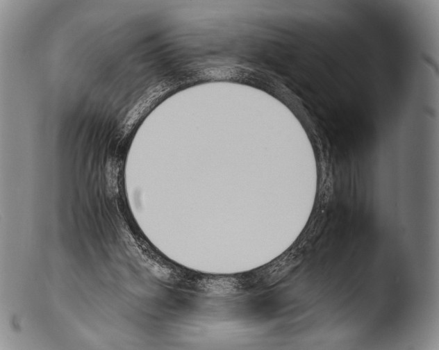 X0000103940106200810311535