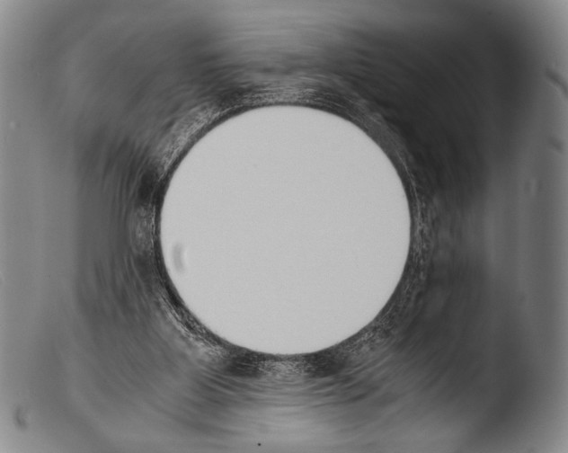 X0000103940107200810311535