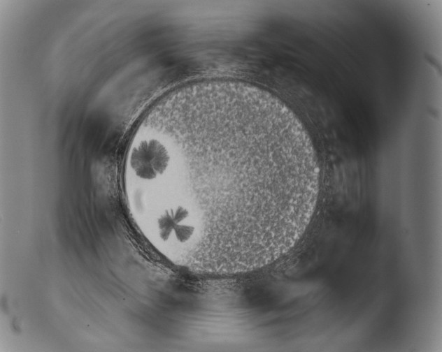 X0000103940108200810311535