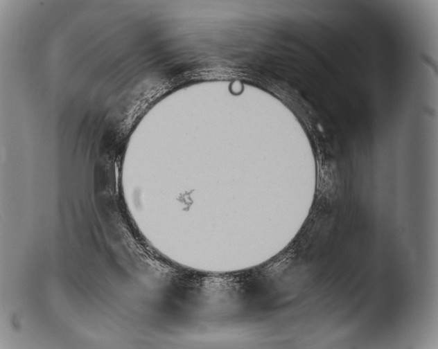 X0000103940109200810311535