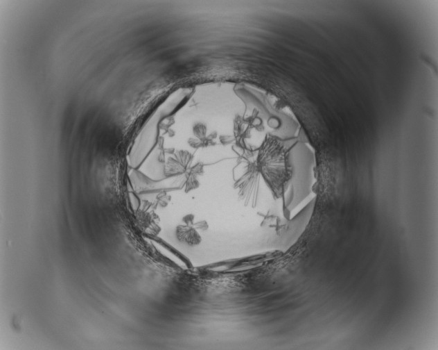 X0000103940112200810311535