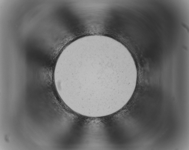 X0000103940113200810311535