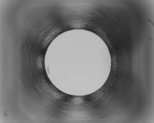 X0000103940114200810311535