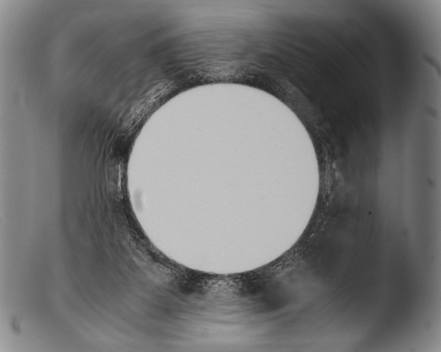 X0000103940115200810311535