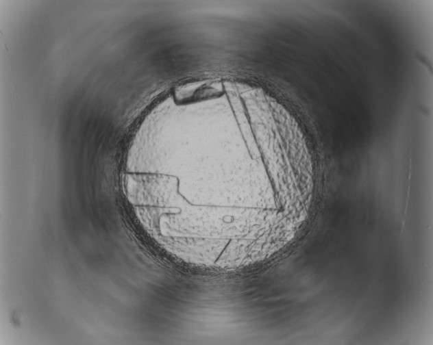 X0000103940116200810311535