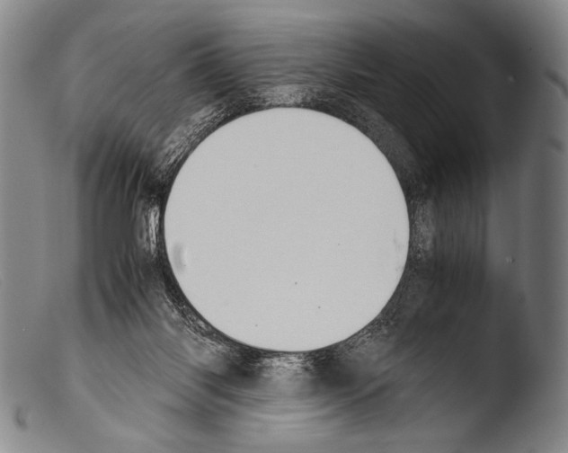 X0000103940118200810311535