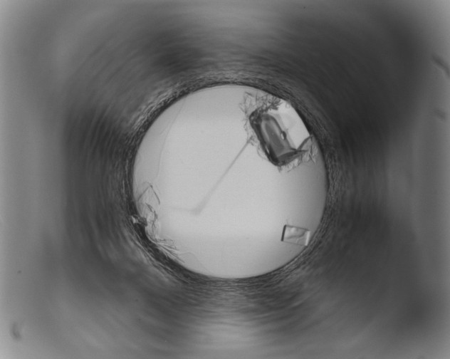 X0000103940120200810311535