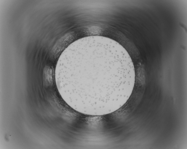 X0000103940122200810311535