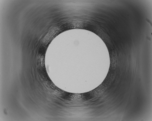 X0000103940123200810311535