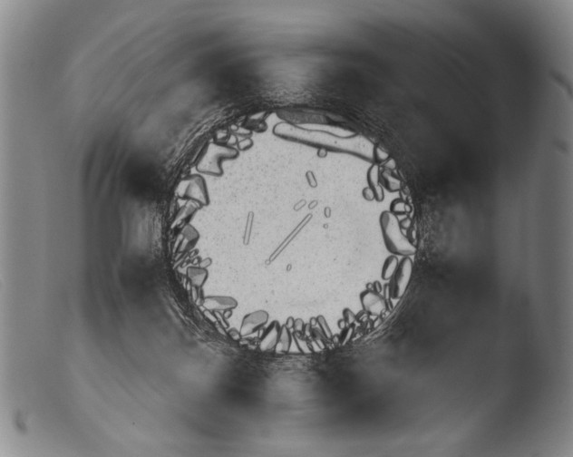 X0000103940124200810311535