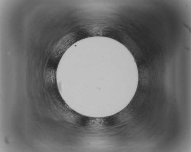 X0000103940125200810311535