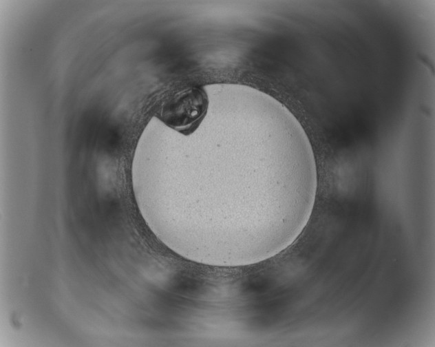 X0000103940128200810311534