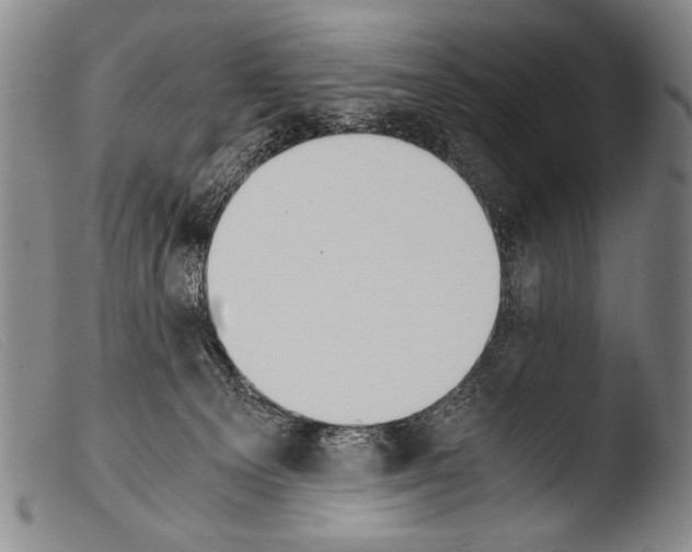 X0000103940129200810311534