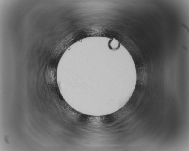 X0000103940131200810311534