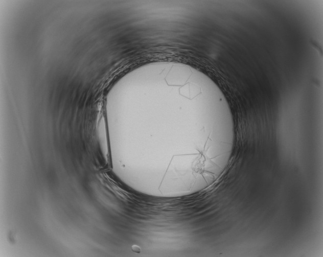 X0000103940132200810311534