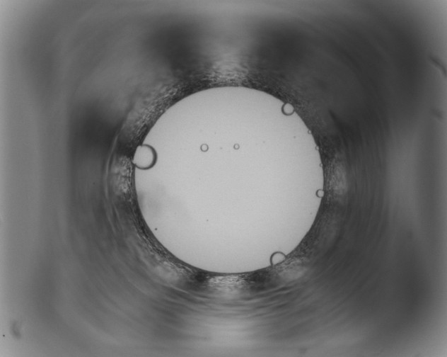 X0000103940133200810311534