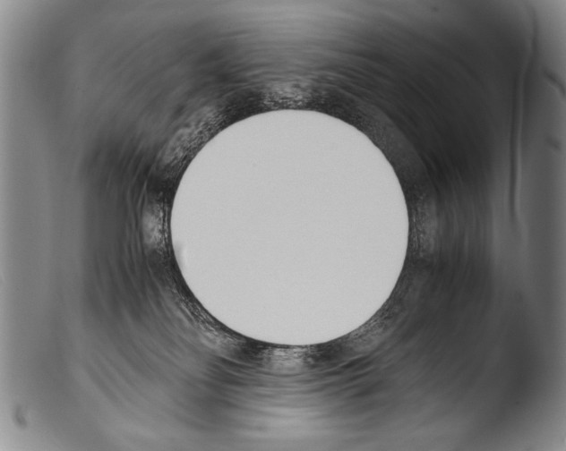 X0000103940134200810311534