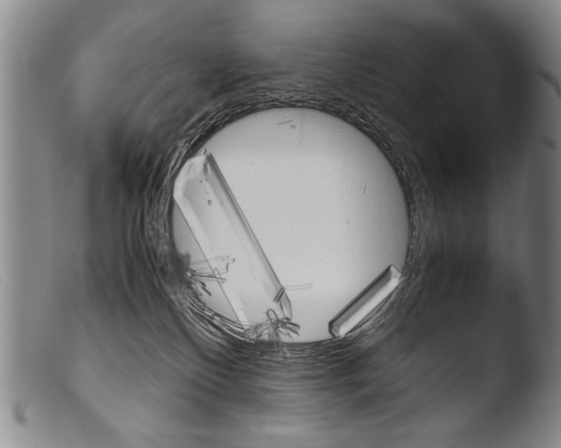 X0000103940136200810311534