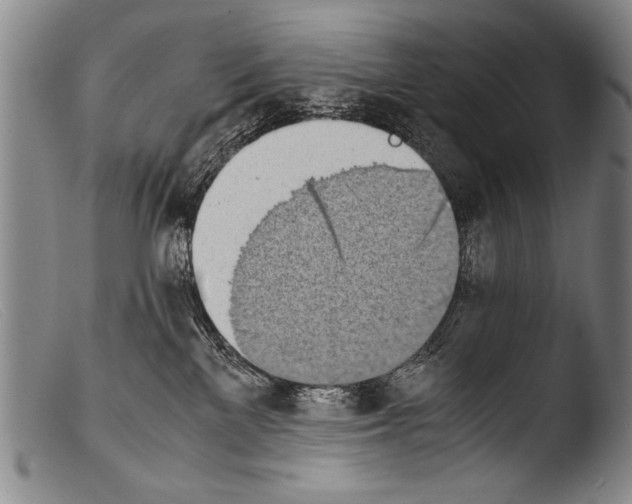 X0000103940137200810311534