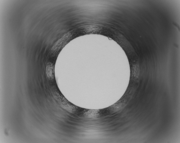 X0000103940138200810311534