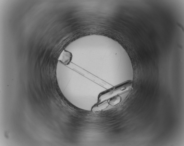 X0000103940140200810311534