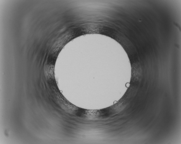 X0000103940141200810311534