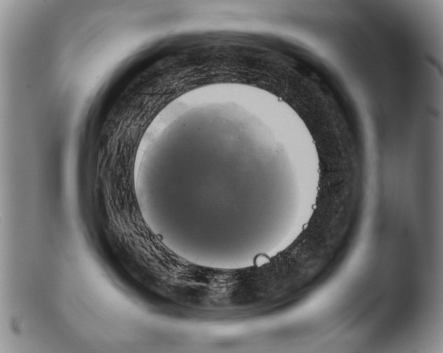 X0000103940143200810311534