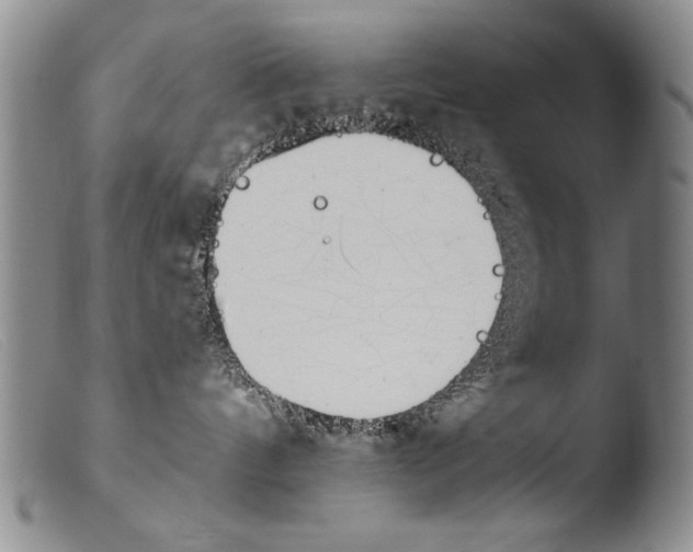 X0000103940144200810311534