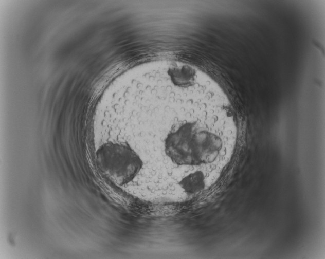 X0000103940145200810311533