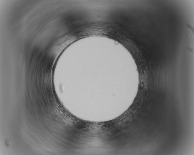 X0000103940148200810311533