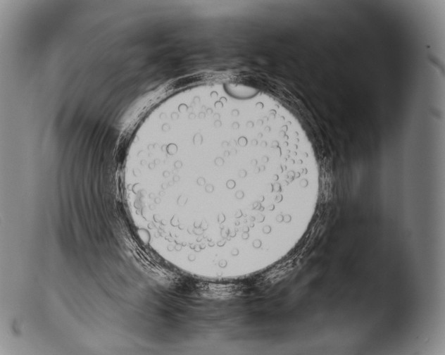 X0000103940149200810311533