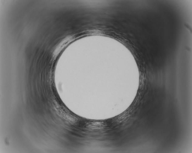 X0000103940151200810311534