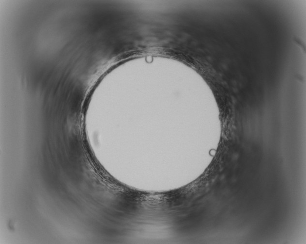 X0000103940152200810311534