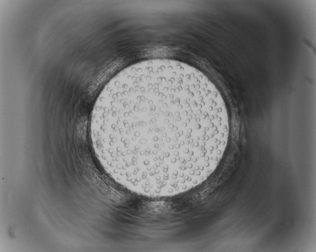 X0000103940153200810311534