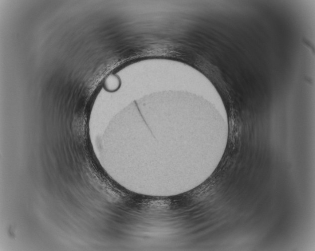 X0000103940156200810311534