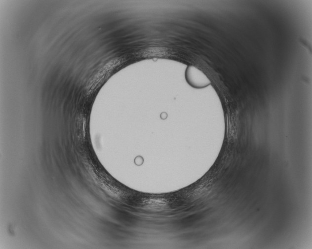 X0000103940157200810311534