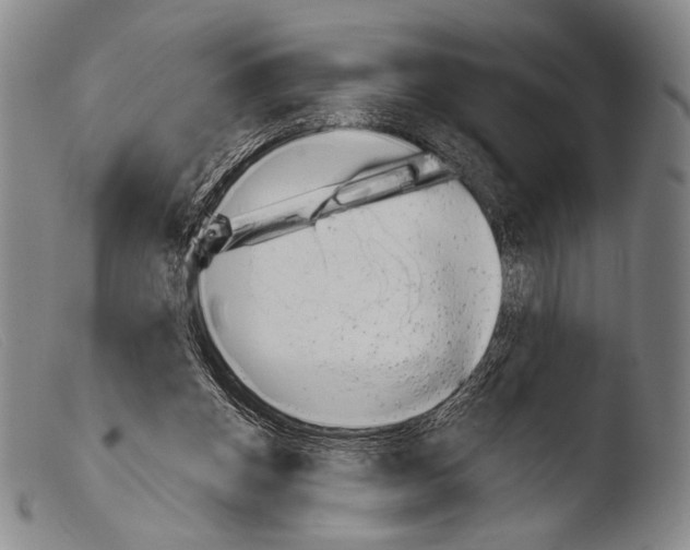 X0000103940158200810311534