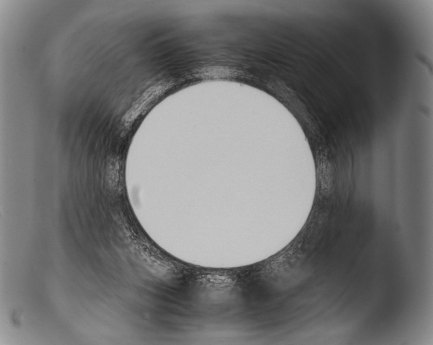 X0000103940159200810311534