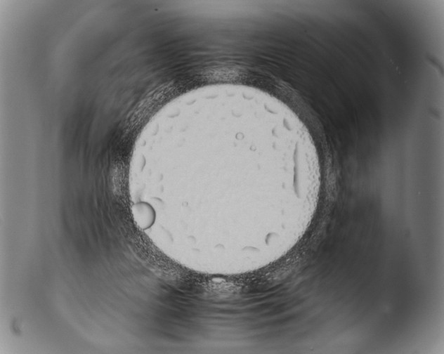 X0000103940161200810311534