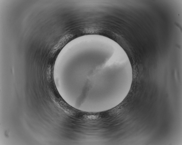 X0000103940163200810311534