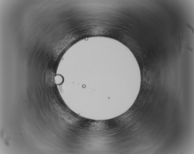 X0000103940164200810311534