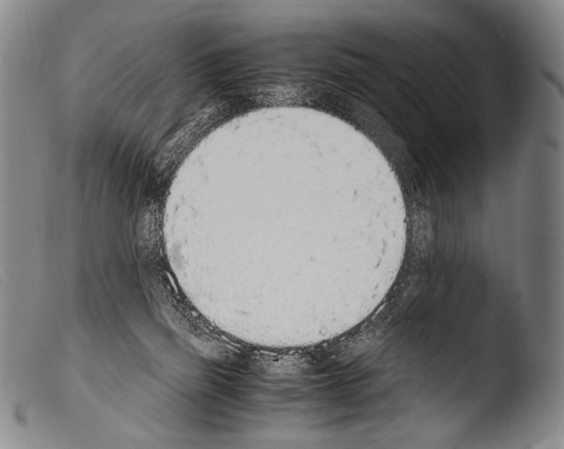 X0000103940165200810311534