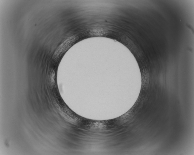 X0000103940166200810311534